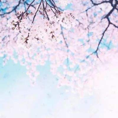 荣耀新天涯手游下载